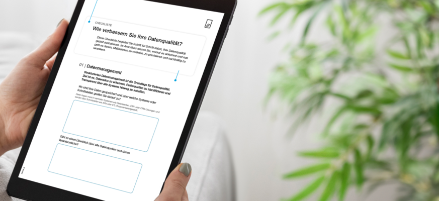 Checkliste Datenqualität