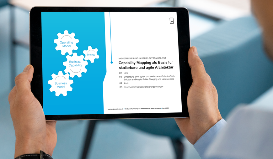 Architekturberatung nach Business Capabilities EBook