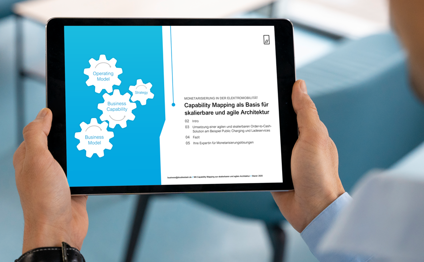 Architekturberatung nach Business Capabilities EBook