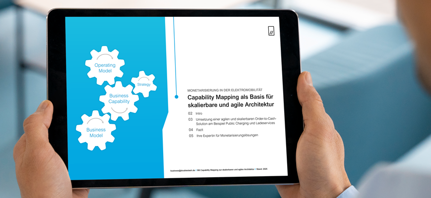 Architekturberatung nach Business Capabilities EBook