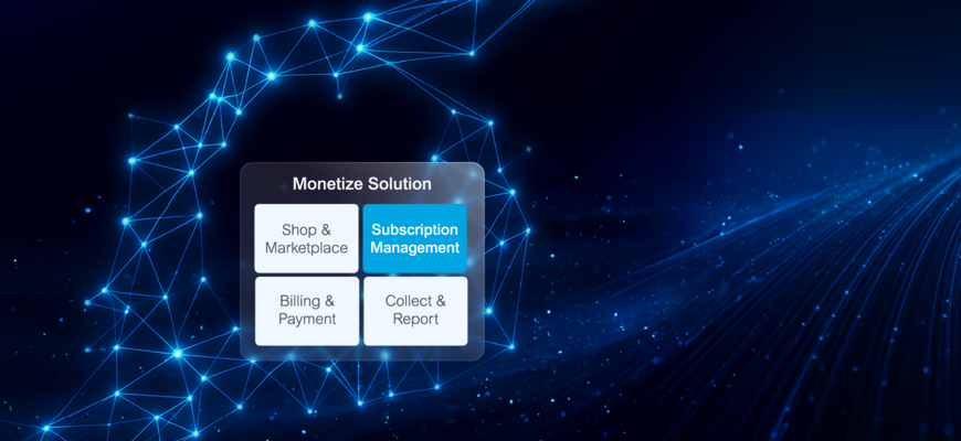 Digitale Netzwerkvisualisierung mit Monetarisierungslösung, Fokus auf „Subscription Management“ sowie weiteren Modulen für Shop, Abrechnung und Reporting.