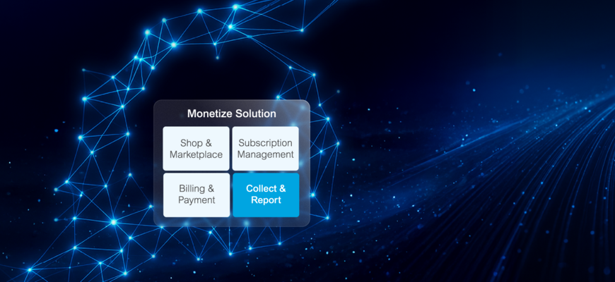 Digitale Netzwerkvisualisierung mit hervorgehobener Monetarisierungslösung und Fokus auf „Collect & Report“ innerhalb der Module Shop, Subscription und Abrechnung.