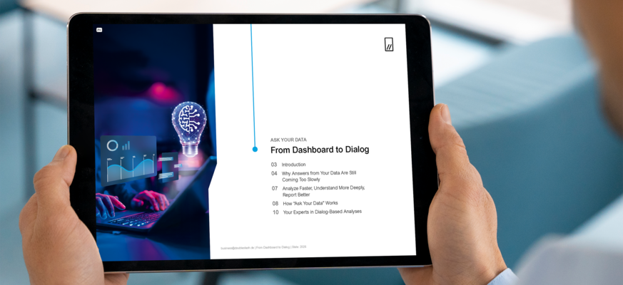 Mockup: Ebook Ask Your Data