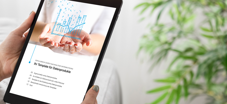  template fuer datenprodukte wp preview doubleslash