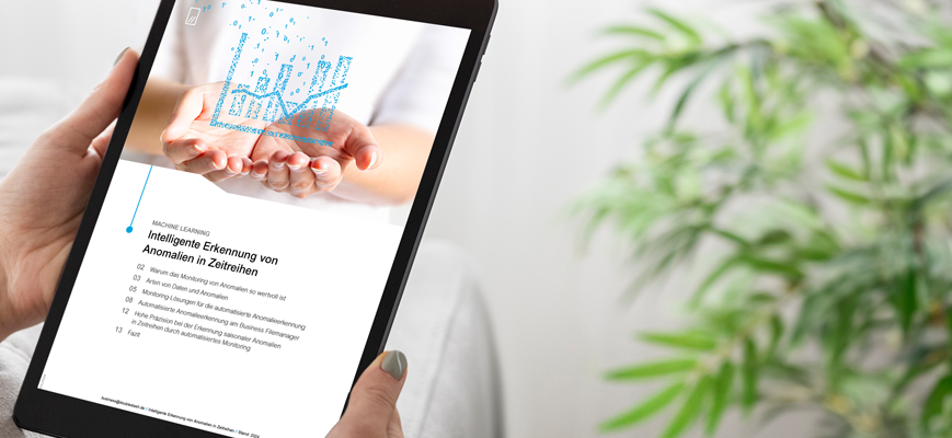 Preview Whitepaper Anomalieerkennung