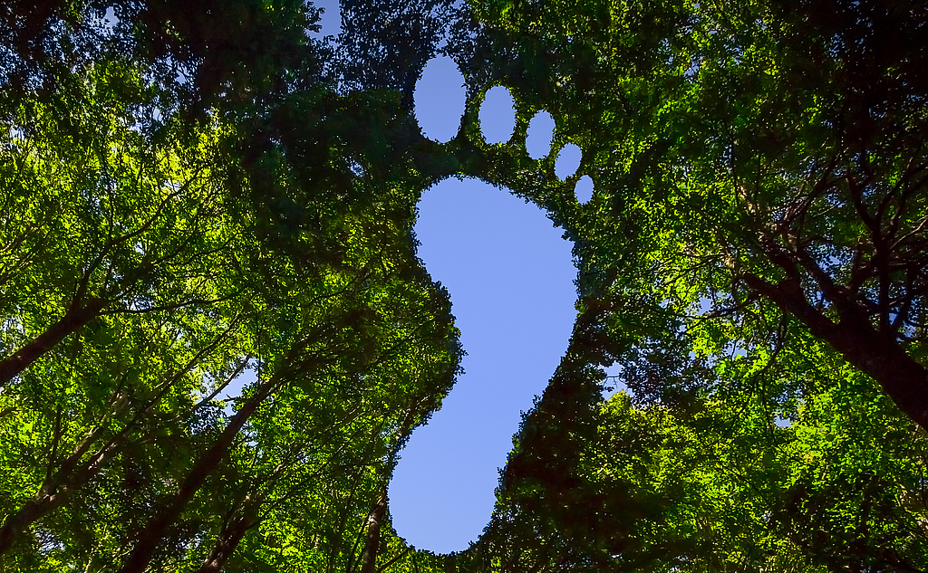 Co2 Fußabdruck