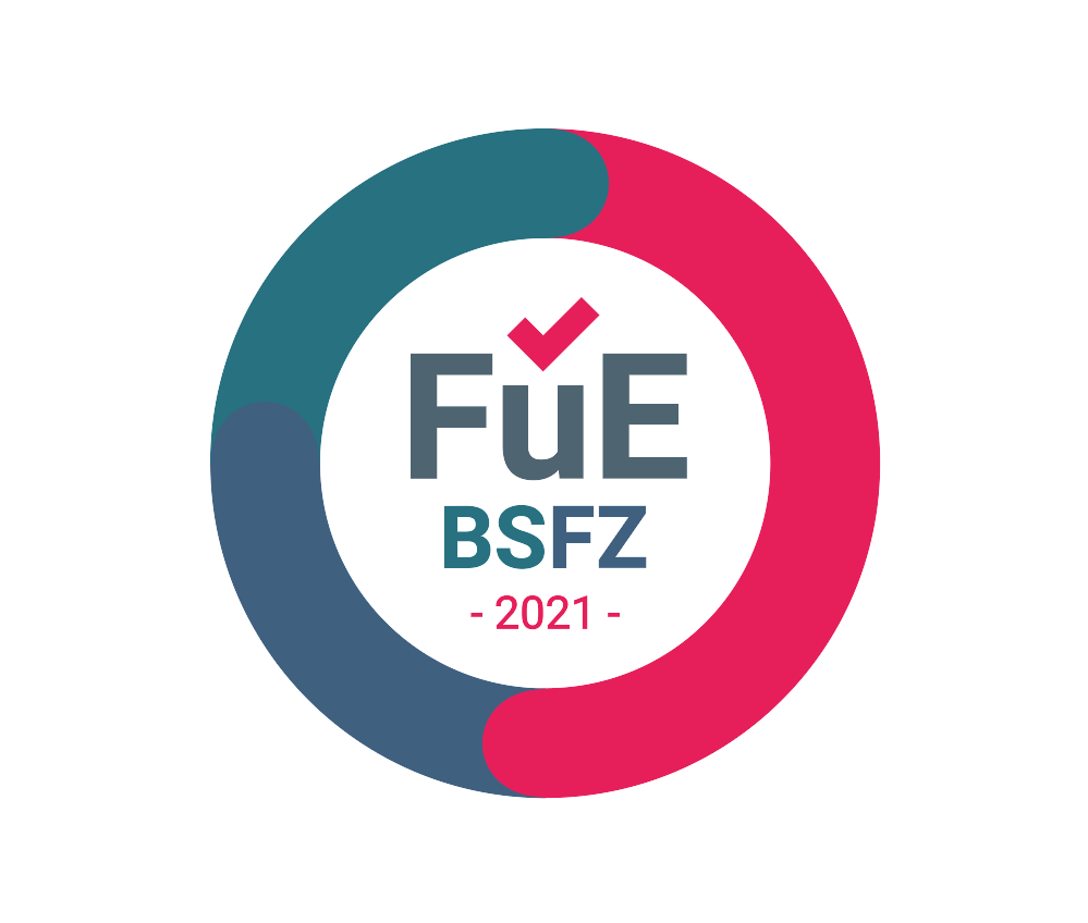 Icon BSFZ