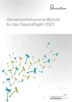 Gemeinwohlbericht vorschaubild